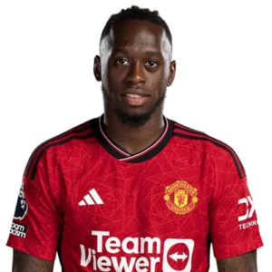 Aaron Wan-Bissaka 29